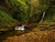 Jual Poster Autumn Waterfalls Moss 1Z
