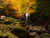 Jual Poster Autumn Waterfalls Stones 1Z 003