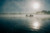 Jual Poster Boats Morning Fishing Fog 1Z