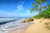 Jual Poster Coast Sea Tropics Sky Palma Beach 1Z