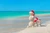 Jual Poster Creative Christmas Summer Sea Snowmen Sand Beach 1Z