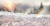 Jual Poster Crocuses Fir Snow Rainbow 1Z