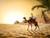 Jual Poster Egypt Desert Camels 1Z 002