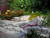 Jual Poster Gardens Stones 1Z