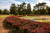 Jual Poster Germany Parks Nordpark Duesseldorf Design Shrubs 1Z
