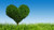 Jual Poster Grass Heart Trees 1Z