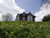 Jual Poster Houses Daffodils Grass 1Z