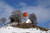 Jual Poster Houses Winter Hill Trees Aerostat Snow 1Z