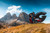 Jual Poster Italy Mountains Val Gardena South Tyrol Dolomites 1Z