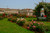 Jual Poster Italy Parks Roses Monza 1Z
