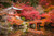 Jual Poster Japan Gardens Pond 1Z 004
