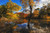 Jual Poster Lake Autumn Trees 1Z