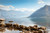 Jual Poster Montenegro Lake 1Z