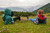 Jual Poster Mountains Austria Alps Grass Two Redhead girl Rest 1Z