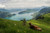 Jual Poster Mountains Grasslands Cow Scenery Switzerland Grass 1Z