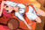 Poster Minori Kushieda Anime Toradora! APC