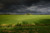 Jual Poster Netherlands Fields 1Z 002