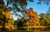 Jual Poster Netherlands Parks Autumn 1Z 003