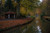 Jual Poster Netherlands Parks Autumn Tuindorp Canal Trees 1Z