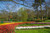 Jual Poster Netherlands Parks Pond Hyacinths Tulips Keukenhof 1Z