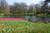 Jual Poster Netherlands Parks Pond Tulips Spring Keukenhof 1Z 002