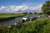 Jual Poster Netherlands Rivers Marinas Motorboat Muiden Grass 1Z