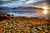Jual Poster Norway Coast Sunrises 1Z