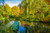 Jual Poster Parks Pond Autumn Boats 1Z