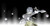 Poster Mitsuki (Naruto) Naruto Anime Boruto Naruto the Movie APC002