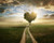Jual Poster Roads Trees Clouds Heart 1Z