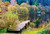 Jual Poster Scotland Lake Forests Marinas Autumn Aberfoyle 1Z