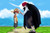 Poster Monkey D. Luffy Shanks (One Piece) One Piece One Piece APCA