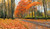 Jual Poster Seasons Autumn Roads Trees Foliage 1Z