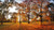 Jual Poster Seasons Autumn Trees 1Z 014