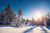 Jual Poster Seasons Winter Sunrises 1Z 002