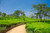 Jual Poster Sri Lanka Fields Spring Roads Nuwara Eliya Trees 1Z