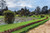 Jual Poster Sri Lanka Parks Pond Queen Victoria Park Design 1Z