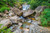 Jual Poster Sri Lanka Rivers Stones Nuwara Eliya Stream 1Z