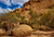 Jual Poster Stones Erongo mountains Namibia Crag Trees 1Z