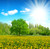 Jual Poster Summer Fields Dandelions Sky Trees Sun Rays of 1Z