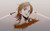 Poster Nami (One Piece) One Piece One Piece APC003