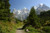 Jual Poster Switzerland Mountains Jungfrau Region Trail Spruce 1Z