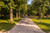Jual Poster Switzerland Parks Kannenfeldpark Trees Avenue 1Z