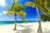 Jual Poster Tropics Coast Scenery 1Z