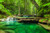 Jual Poster Tropics Forests Rivers 1Z