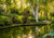 Jual Poster Tropics Parks Pond Minas 1Z