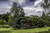 Jual Poster United Kingdom Parks Garden Harlow Carr Shrubs 1Z
