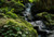 Jual Poster USA Parks Waterfalls Trillium Falls Hike Redwood 1Z