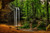 Jual Poster USA Waterfalls Ash Cave 1Z