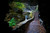 Jual Poster Waterfalls Cave Foliage Stairs 1Z
